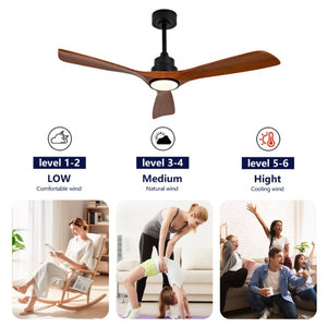 English Elm Hot 52 Inch Black Ceiling Fan Sycamore Wood Blades Dimmable LED Copper DC Motor W2991P338635