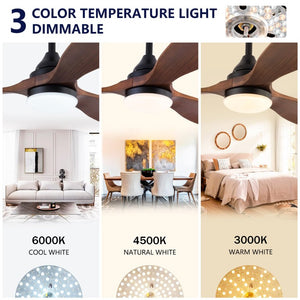 English Elm Hot 52 Inch Black Ceiling Fan Sycamore Wood Blades Dimmable LED Remote DC Motor W2991P338637