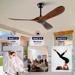 English Elm 52 Inch Indoor Outdoor Ceiling Fan with Solid Wood Blades Quiet DC Motor and Remote W2991P396363
