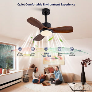 English Elm 36 Inch Paulownia Wood Blade Ceiling Fan with LED Light and Quiet DC Motor for Indoor Outdoor W2991P396628