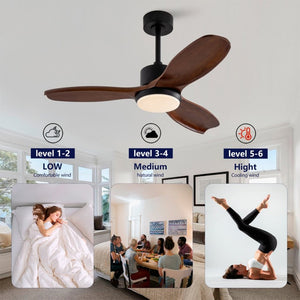 English Elm 42 Inch Paulownia Wood Blade Ceiling Fan with LED Light and Quiet DC Motor Indoor Outdoor W2991P396647