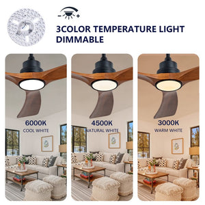 English Elm New 60 Inch Sycamore Wood Blade Ceiling Fan with LED Light and Reversible DC Motor Black 3 Blades W2991P396666