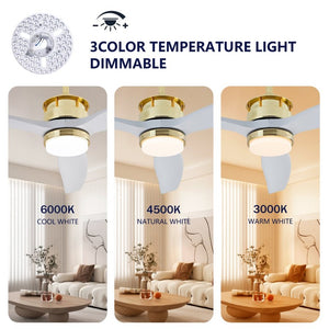 English Elm 52 Inch Modern Ceiling Fan with Dimmable LED Gold Accents and Solid Wood Blades W2991P396672