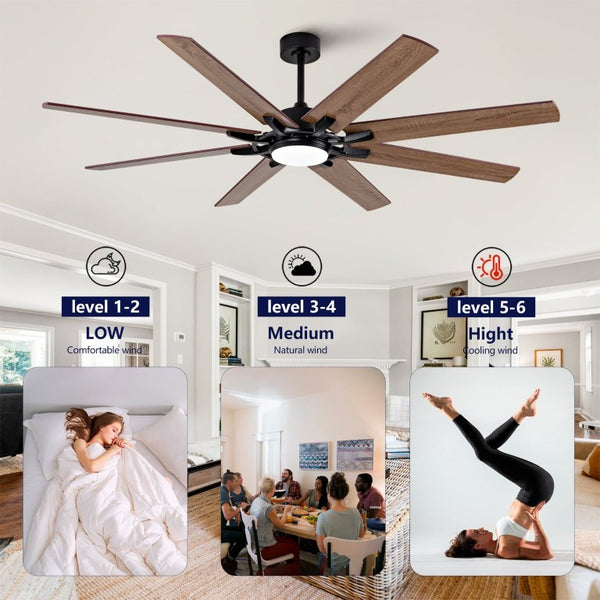 English Elm Large 72 Inch 8 Blade Ceiling Fan with Dimmable Light Reversible DC Motor Indoor Outdoor W2991P397215