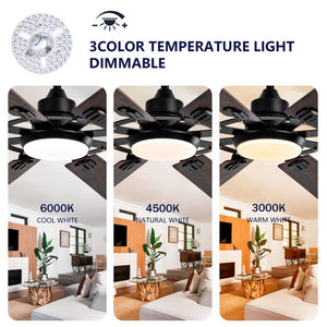 English Elm Large 72 Inch 8 Blade Ceiling Fan with Dimmable Light Reversible DC Motor Indoor Outdoor W2991P397215