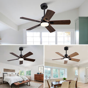 English Elm Smart 42 Inch Indoor Outdoor Ceiling Fan Dimmable LED Dual Finish Reversible Blades DC W2991P397414