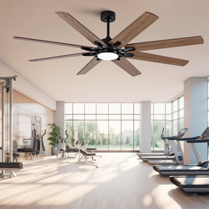 English Elm Large 72 Inch Outdoor Ceiling Fan Dimmable Light Dual Finish 8 Blade Quiet DC Motor W2991P406728
