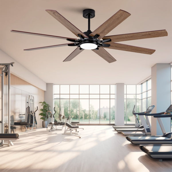 English Elm Large 72 Inch Outdoor Ceiling Fan Dimmable Light Dual Finish 8 Blade Quiet DC Motor W2991P406728