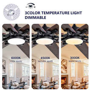English Elm Large 72 Inch Outdoor Ceiling Fan Dimmable Light Dual Finish 8 Blade Quiet DC Motor W2991P406728