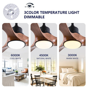 English Elm Hot 52 Inch Modern Ceiling Fan with Walnut Blades Dimmable LED and Reversible DC Motor W2991P406908