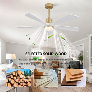 English Elm Hot 52 Inch Sycamore Blade Ceiling Fan with Dimmable LED and Quiet DC Motor W2991P406909