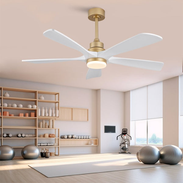 English Elm Hot 52 Inch Sycamore Blade Ceiling Fan with Dimmable LED and Quiet DC Motor W2991P406909