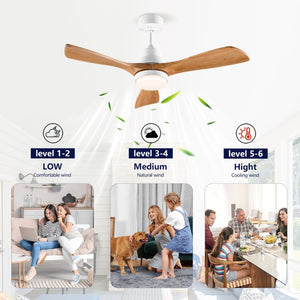 English Elm Hot 42 Inch Sycamore Wood Blade Ceiling Fan with LED Light and Remote Control Oak Natural Wood + Antique White 3 Blades W2991P406911
