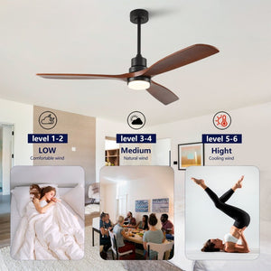 English Elm Hot 60 Inch Sycamore Wood Blade Ceiling Fan with Dimmable LED and DC Motor Black W2991P406912