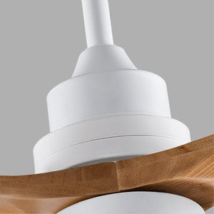 English Elm Hot 72 Inch Sycamore Wood Blade Ceiling Fan with Dimmable LED Light and Remote Oak Natural Wood + Antique White - B W2991P406914