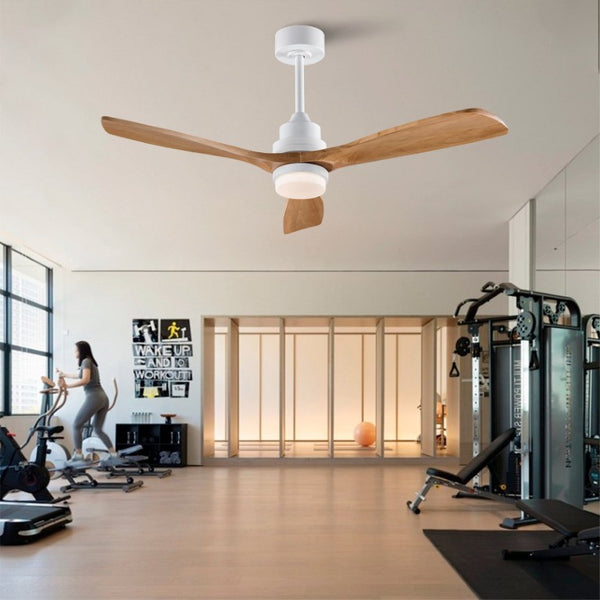 English Elm Hot 52 Inch Sycamore Wood Blade Ceiling Fan with DC Motor Dimmable LED Light W2991P406933