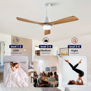 English Elm Hot 52 Inch Sycamore Wood Blade Ceiling Fan with DC Motor Dimmable LED Light W2991P406933