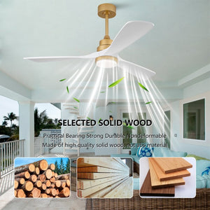 English Elm Hot 52 Inch Sycamore Wood Blade Ceiling Fan with Dimmable LED and DC Reversible Motor W2991P406948