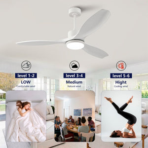 English Elm Best-Selling 52 Inch White Ceiling Fan Dimmable LED DC Motor Remote Six Speed Control W2991P407016