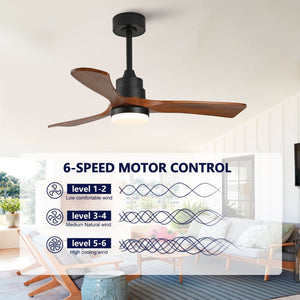 English Elm Hot 42 Inch Sycamore Wood Blade Ceiling Fan with LED Light and Remote Control Black 3 Blades - B W2991P407791
