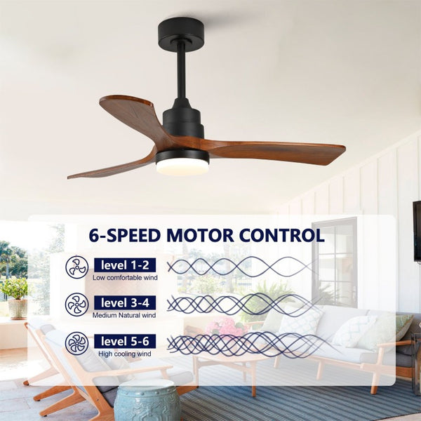 English Elm Hot 42 Inch Sycamore Wood Blade Ceiling Fan with LED Light and Remote Control Black 3 Blades - B W2991P407791
