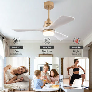 English Elm 42-Inch DC Motor Ceiling Fan with Remote Six Speed LED Light Bedroom Quiet W2991P494009