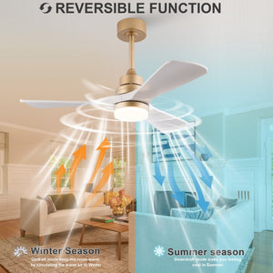 English Elm 42-Inch DC Motor Ceiling Fan with Remote Six Speed LED Light Bedroom Quiet W2991P494009