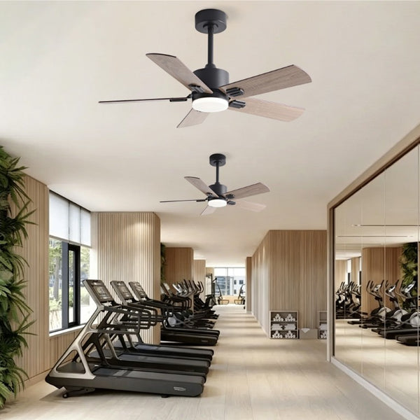 English Elm 52 Inch Matte Black Ceiling Fan with Walnut Blades Remote LED Light Indoor Outdoor W2991P494070