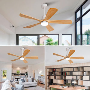 English Elm Hot 52 Inch Sycamore Wood Blade Ceiling Fan with Dimmable LED Light and DC Motor W2991P499142