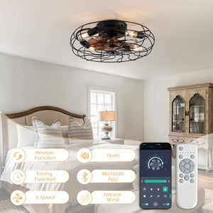 English Elm 19-Inch Matte Black Wrought Iron Cage Ceiling Fan with App Remote Six Speed Control W2991P521138