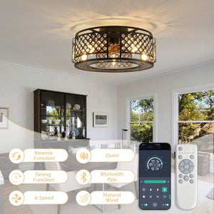 English Elm 19-Inch Mesh Cage Ceiling Fan Industrial Loft Style with App Remote and Six Speeds W2991P521184