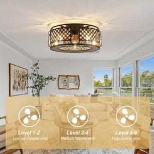 English Elm 19-Inch Mesh Cage Ceiling Fan Industrial Loft Style with App Remote and Six Speeds W2991P521184