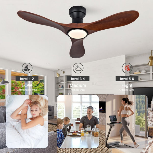 English Elm 42-Inch Flush Mount Ceiling Fan Sycamore Wood Blades LED Light Six Speed Indoor Outdoor W2991P521187
