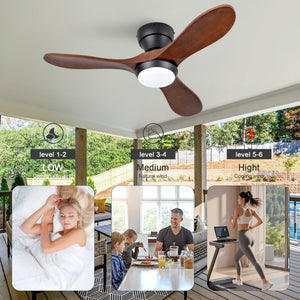 English Elm 36-Inch Flush Mount Ceiling Fan with LED Light Sycamore Wood Blades Quiet DC Motor W2991P521192