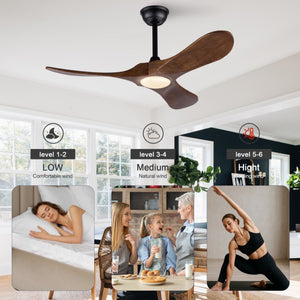 English Elm 42-Inch Ceiling Fan with Dark Walnut Blades DC Motor LED Light and Remote W2991P521194