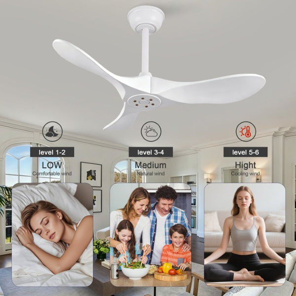 English Elm 36 Inch Paulownia Wood Blade Ceiling Fan Quiet DC Motor Six Speeds with Remote W2991P521205