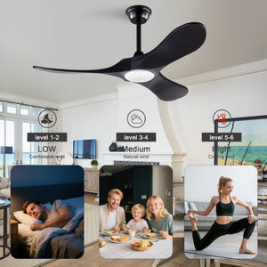 English Elm Hot 42 Inch Matte Black Ceiling Fan Solid Wood Blades Dimmable LED Remote Indoor Outdoor W2991P521209