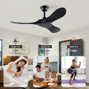 English Elm Hot 42 Inch Black Ceiling Fan with Wood Blades DC Motor Remote Six Speed Control W2991P521211