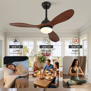 English Elm 42-Inch Solid Sycamore Blade Ceiling Fan with LED Light Remote and Quiet DC Motor W2991P521217