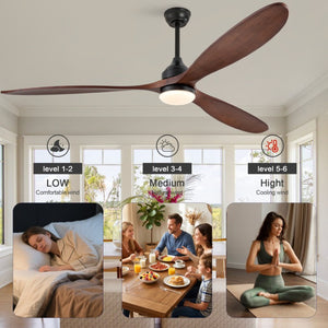English Elm 70-Inch Solid Walnut Blade Ceiling Fan with DC Motor Dimmable LED and Remote W2991P521218