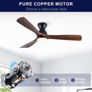 English Elm Hot 52 Inch Black Ceiling Fan Solid Sycamore Blades Dimmable LED Remote DC Motor W2991P521220
