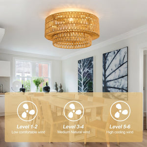 English Elm 19-Inch Woven Paper-Cord Cage Ceiling Fan with App Control and Six Speed Settings W2991P521747