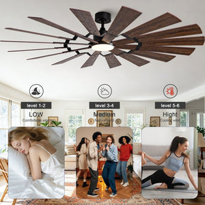 English Elm 70-Inch Large Room Ceiling Fan with 16 Plywood Blades DC Motor Dimmable LED Remote W2991P531357