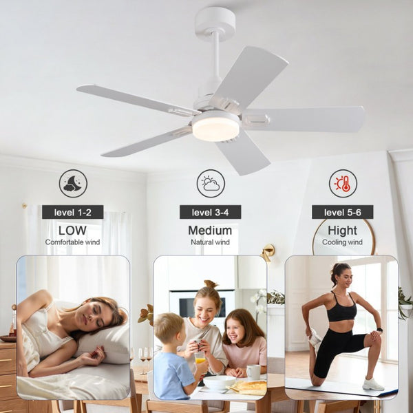 English Elm 42-Inch Propeller Plywood Blade Ceiling Fan with LED Light Kit and 6 Speed Memory W2991P531373
