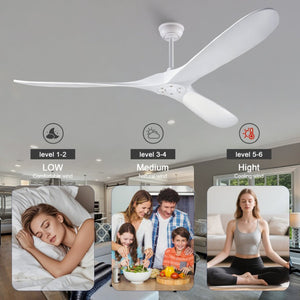 English Elm 70-Inch Sculptural Paulownia Blade Ceiling Fan with DC Motor and Remote for Large Rooms W2991P532703