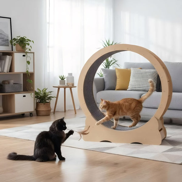 English Elm Cat Exercise Wheel Large Indoor Running Treadmill with Detachable Carpet Quiet Sturdy W3101P481727