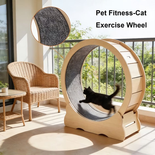 English Elm Cat Exercise Wheel Large Indoor Running Treadmill with Detachable Carpet Quiet Sturdy W3101P481727