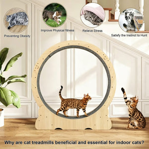 English Elm Cat Exercise Wheel Large Indoor Running Treadmill with Detachable Carpet Quiet Sturdy W3101P481727