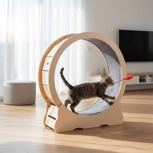 English Elm Cat Exercise Wheel Large Indoor Running Treadmill with Detachable Carpet Quiet Sturdy W3101P481727