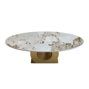 English Elm Modern Oval Sintered Stone Top Coffee Table with Brushed Steel Base for Living Room W3136S00105